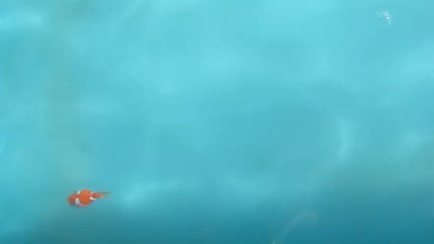 testingNew23df